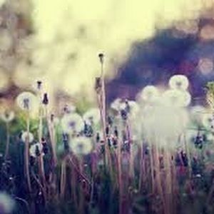 Meet your Posher, Shreya